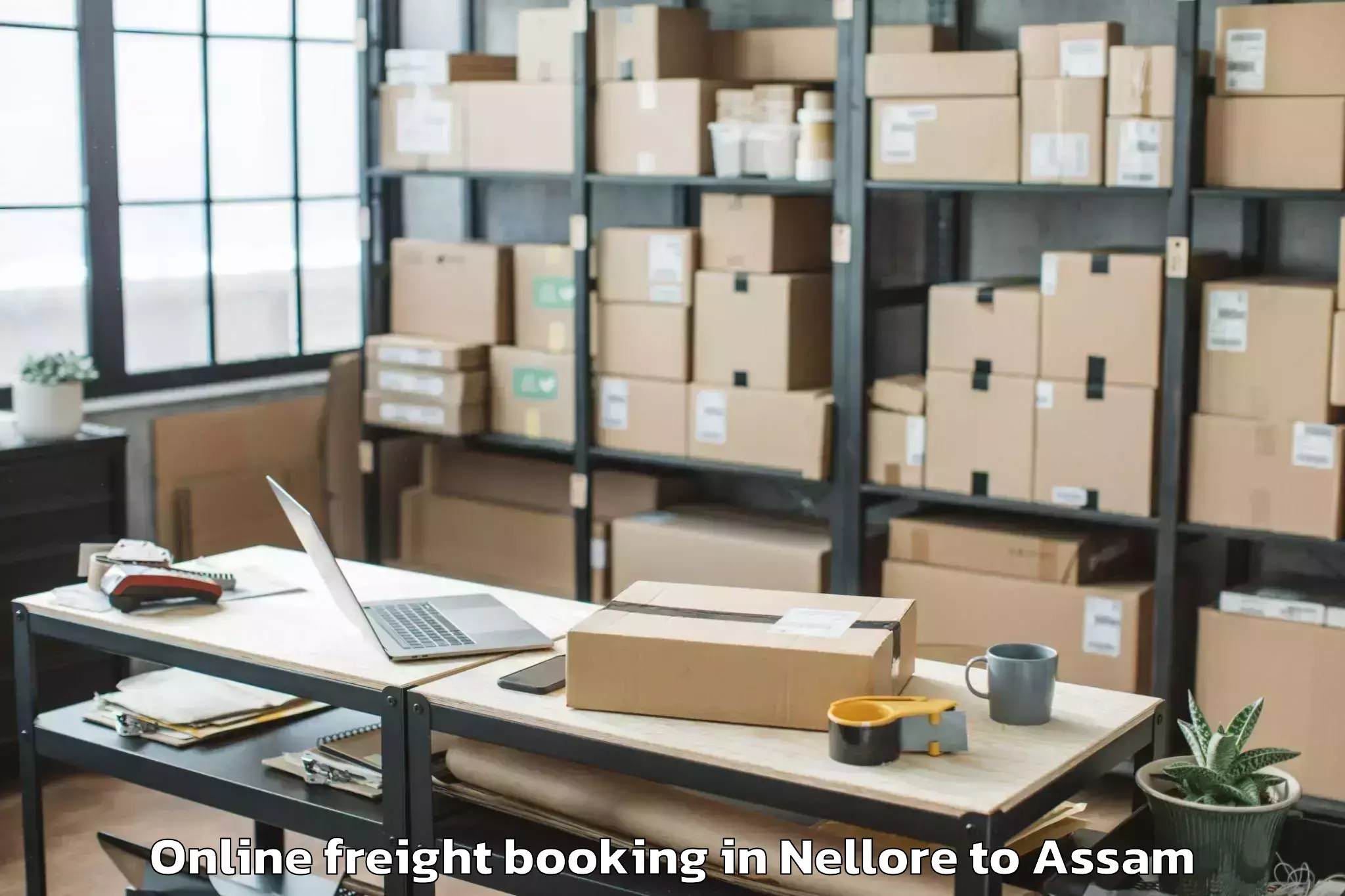 Book Nellore to Nalbari Online Freight Booking